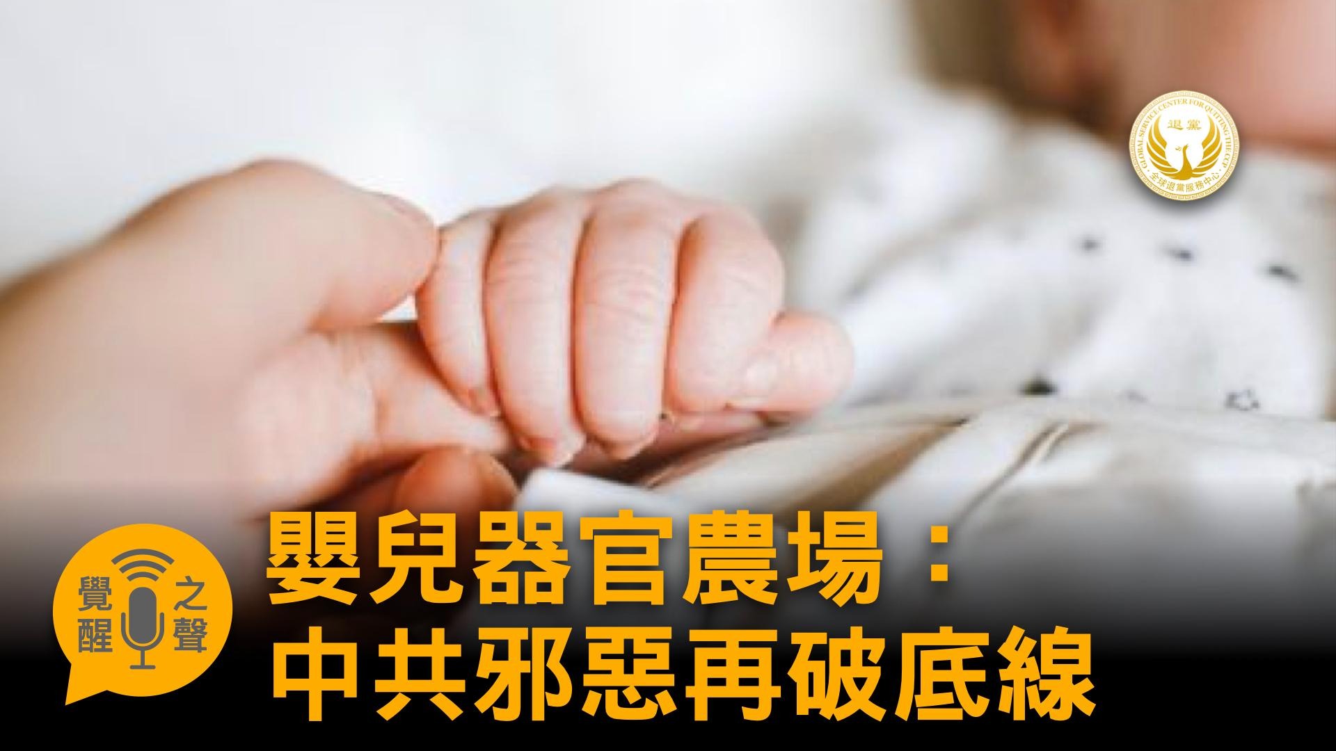 首页 2025 v2 14 1010 嬰兒 signal 2025 10 10 165720